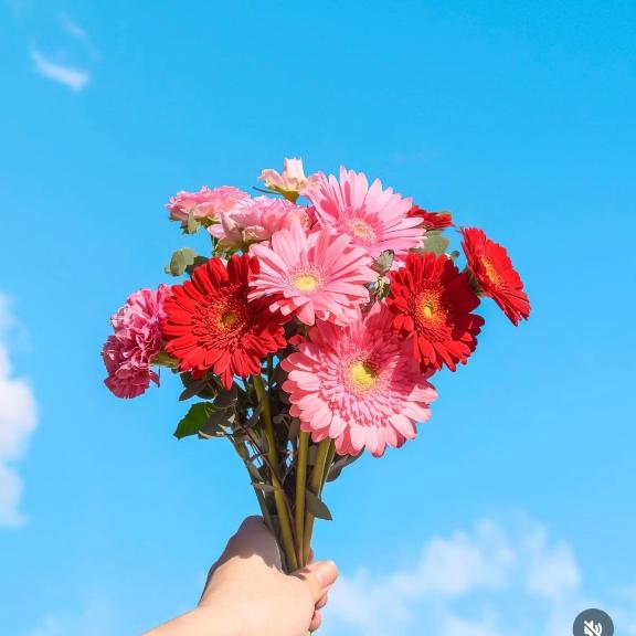 13日☆お礼♡