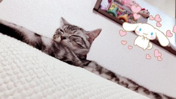 おはよう♡