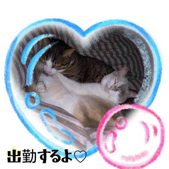 ひろか　完全未経験のエロ過ぎ熟女