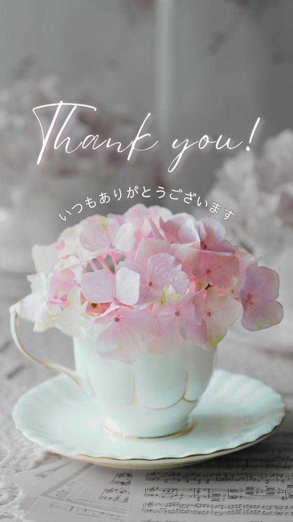 【本日のthank you🗽💕】