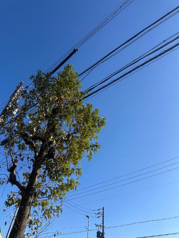 ななななななな❣️昨日の人❣️✨