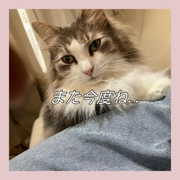 しおり　リアル妻がこっそり出勤中